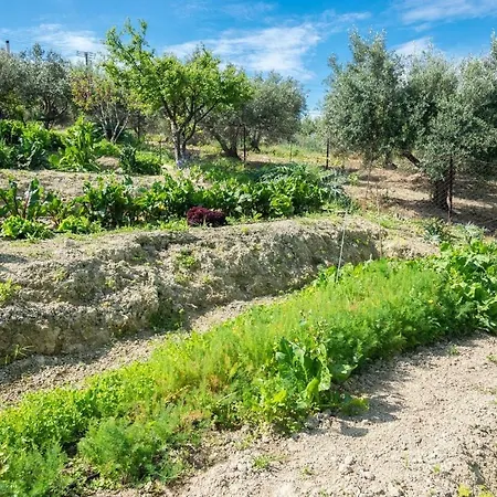 Muses Panoramic View, Minutes From Knossos Minoan Palace Apartment Vasiliai